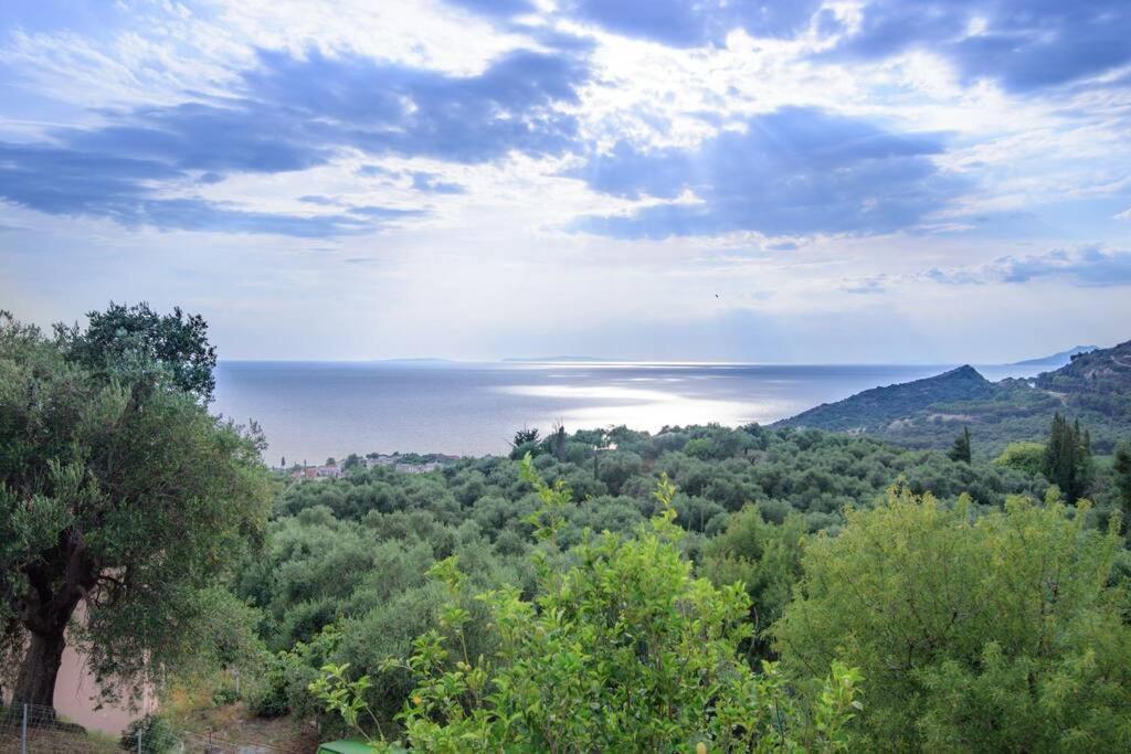 לייה Villa Panorama מראה חיצוני תמונה
